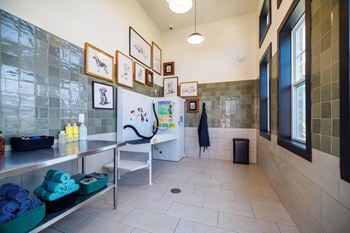 Pet spa station
